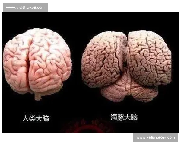 贝恩：孟菲斯的爱，藏在真实的褶皱里